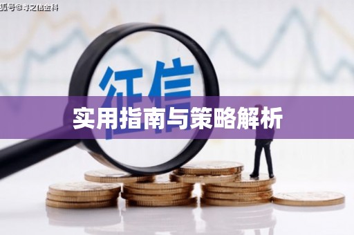 泸西实用指南与策略解析