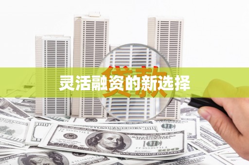 泸西灵活融资的新选择