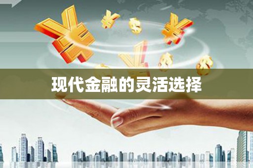 泸西现代金融的灵活选择