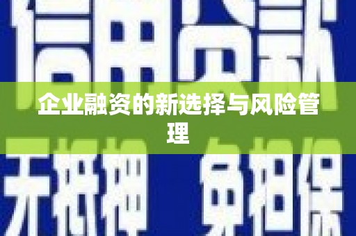 泸西企业融资的新选择与风险管理