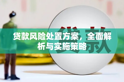 泸西贷款风险处置方案，全面解析与实施策略