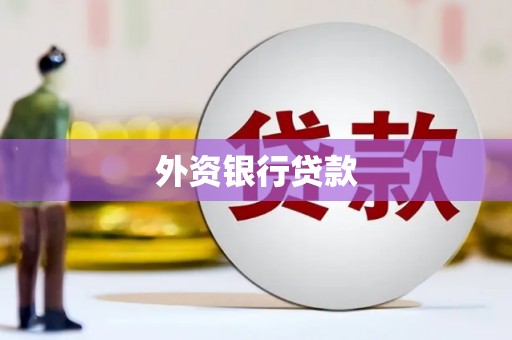 泸西外资银行贷款