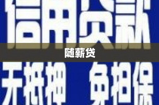 泸西随薪贷