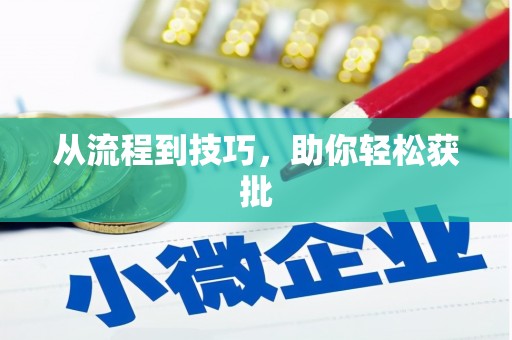 泸西从流程到技巧，助你轻松获批