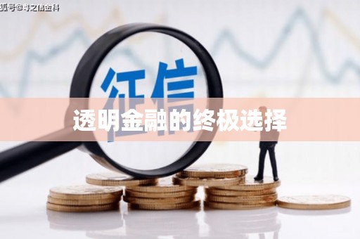 泸西透明金融的终极选择