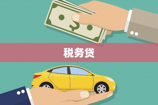 泸西税务贷