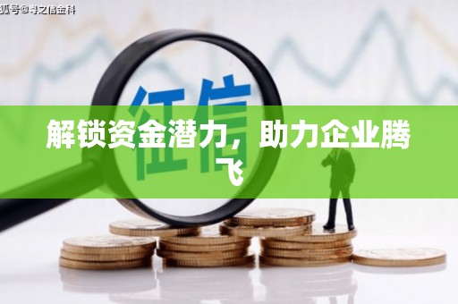 泸西解锁资金潜力，助力企业腾飞