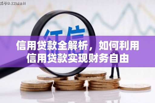 泸西信用贷款全解析，如何利用信用贷款实现财务自由