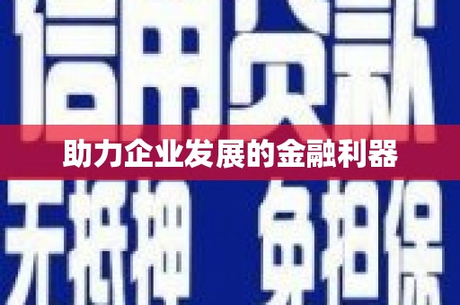 泸西助力企业发展的金融利器