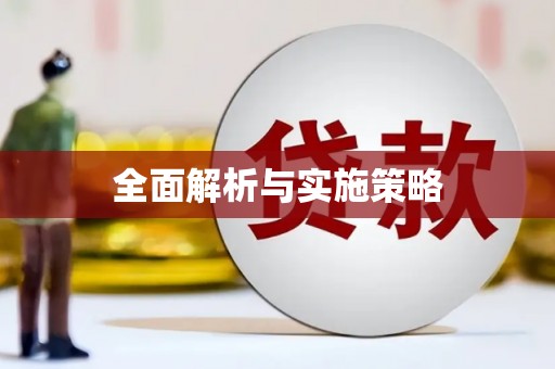 泸西全面解析与实施策略