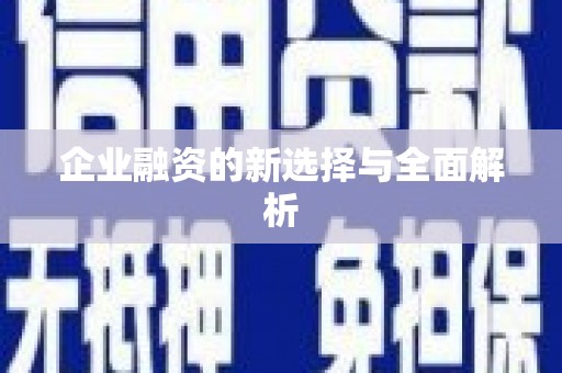 泸西企业融资的新选择与全面解析