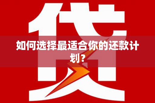 泸西如何选择最适合你的还款计划？