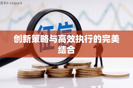 泸西创新策略与高效执行的完美结合