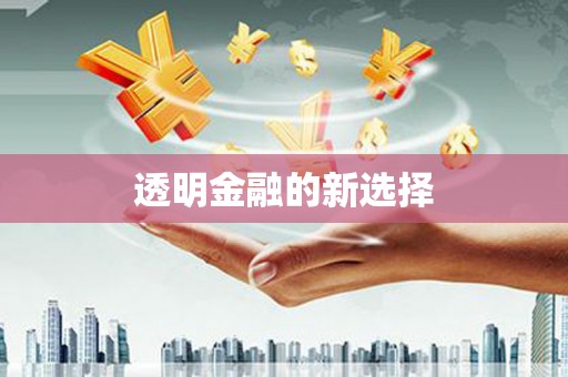 泸西透明金融的新选择