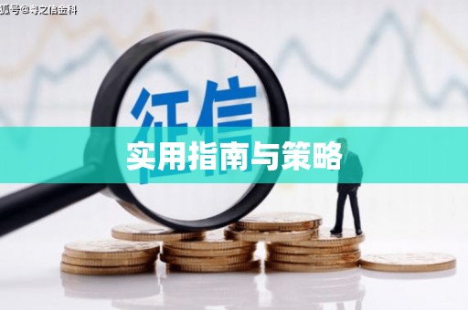 泸西实用指南与策略