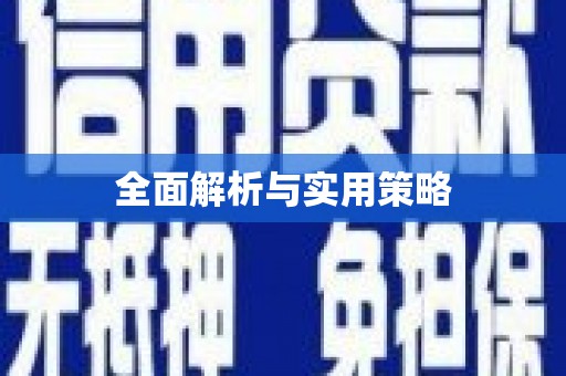 泸西全面解析与实用策略