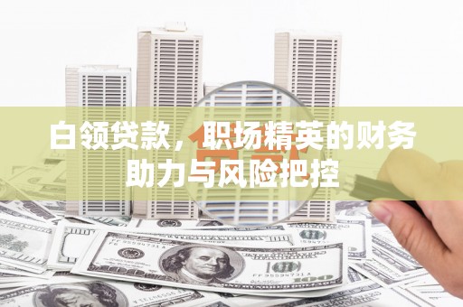 泸西白领贷款，职场精英的财务助力与风险把控