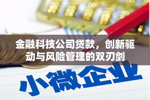 泸西金融科技公司贷款，创新驱动与风险管理的双刃剑