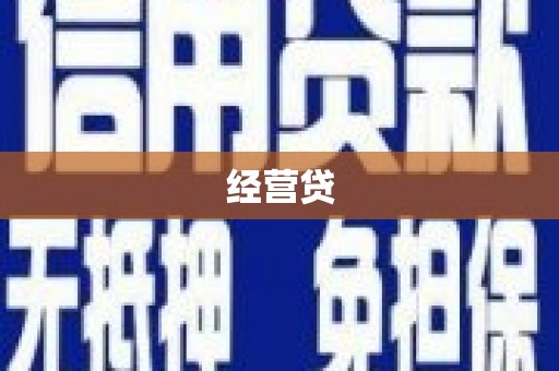 泸西经营贷